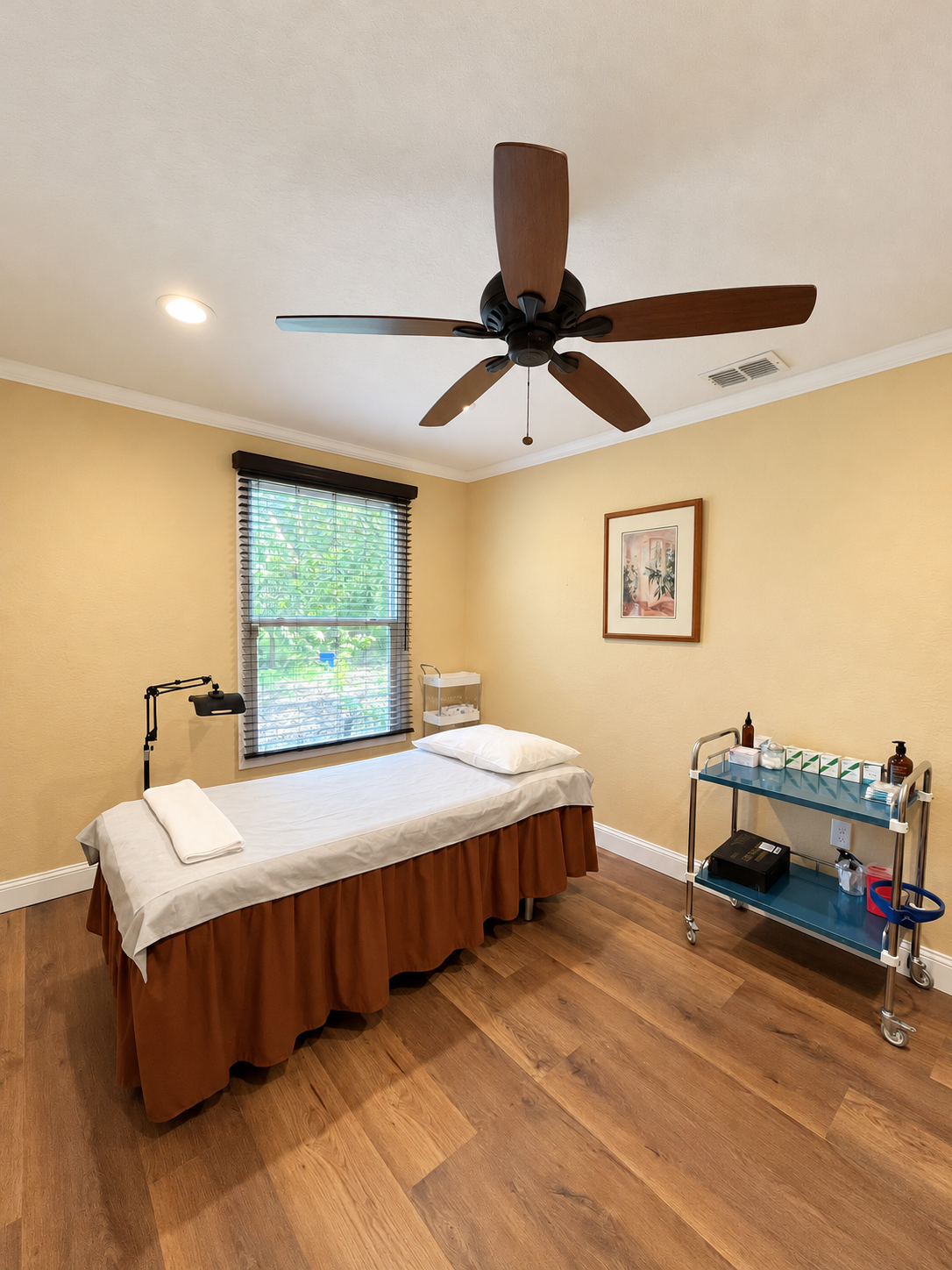IVY TCM treatment room with a treatment bed, window and clinical equipment